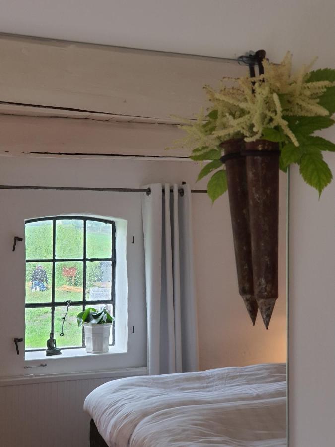 4B Oesterlen Bed & Breakfast トメリラ エクステリア 写真